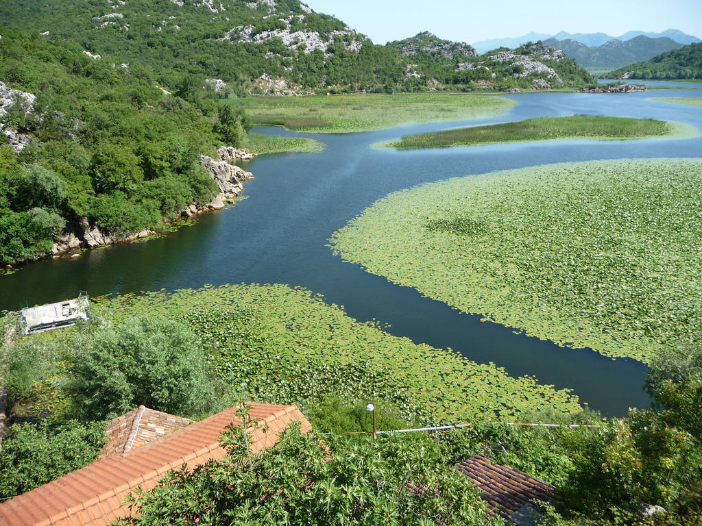 Studios Peric Sveti Stefan Δωμάτιο φωτογραφία